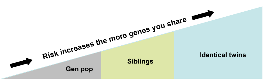 Genetic similarity with others in the family with RA increases one's risk for RA 