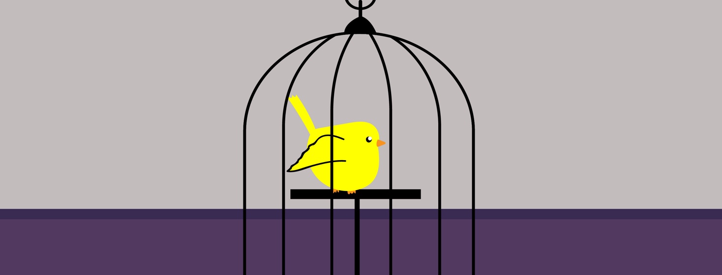 What’s Your Canary?